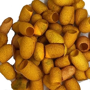 KNITSILK Hand Dyed Silk Cocoons  1 x 30 pcs